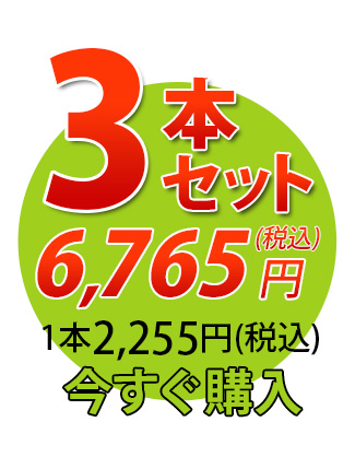 唐獅子3本セット