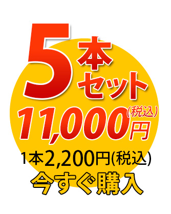 唐獅子5本セット