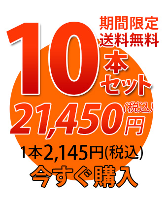唐獅子10本セット