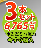 唐獅子3本セット