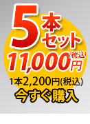 唐獅子5本セット