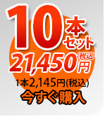 唐獅子10本セット