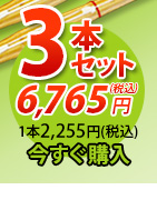 唐獅子3本セット