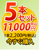 唐獅子5本セット