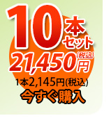 唐獅子10本セット