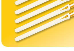 唐獅子5本セット