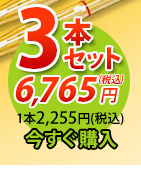 唐獅子3本セット