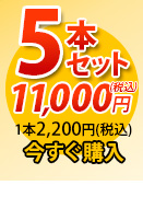 唐獅子5本セット