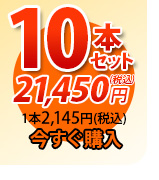 唐獅子10本セット