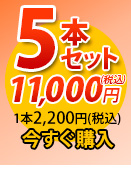 唐獅子5本セット