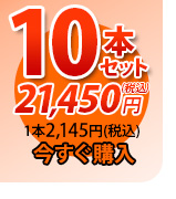 唐獅子10本セット