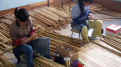 竹の種類を分ける為に各色の糸を巻く