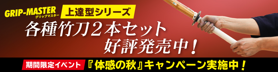 上達型体感