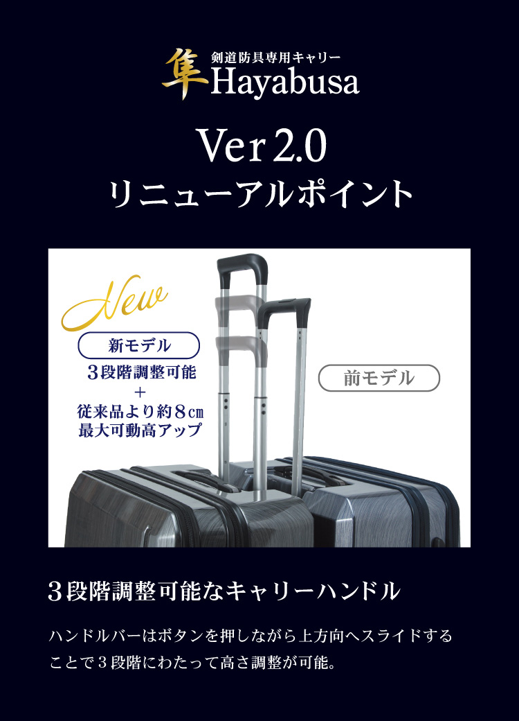 剣道防具キャリー「隼　-Hayabusa-」