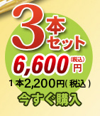 唐獅子3本セット