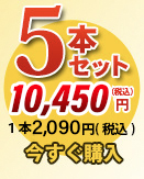 唐獅子5本セット