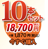 唐獅子10本セット