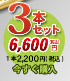 唐獅子3本セット