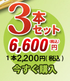 唐獅子3本セット