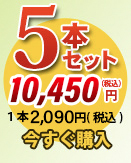 唐獅子5本セット