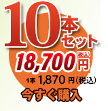 唐獅子10本セット