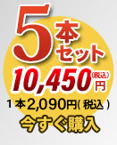 唐獅子5本セット