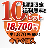 唐獅子10本セット