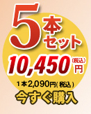 唐獅子5本セット