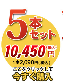 唐獅子5本セット