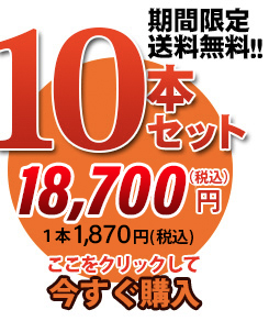 唐獅子10本セット