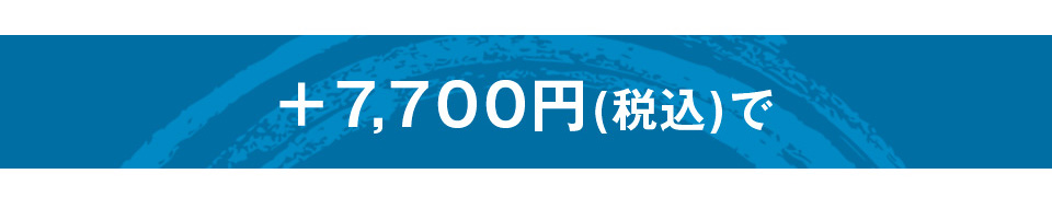 A-1αバイオクリーンMakr2 変わり塗り胴