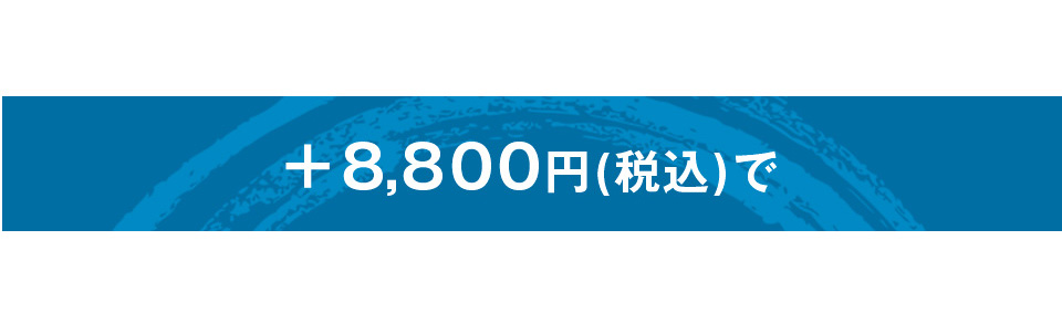 A-1αバイオクリーンMakr2 変わり塗り胴