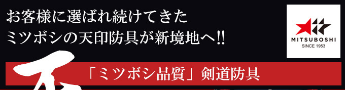 「天」エリート6mm十字刺織刺剣道防具