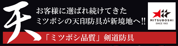 「天」エリート6㎜十字刺織刺剣道防具 甲手単品