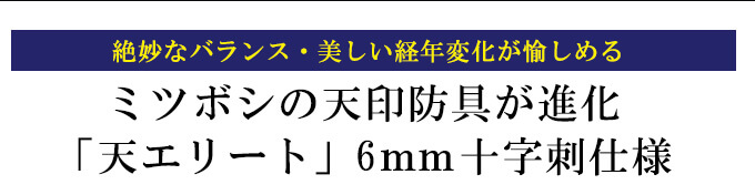 「天」エリート6mm十字刺織刺剣道防具