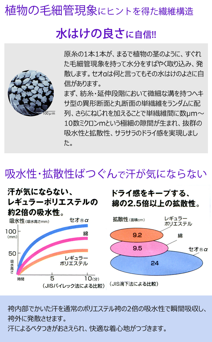 セオ・アルファエステル剣道袴