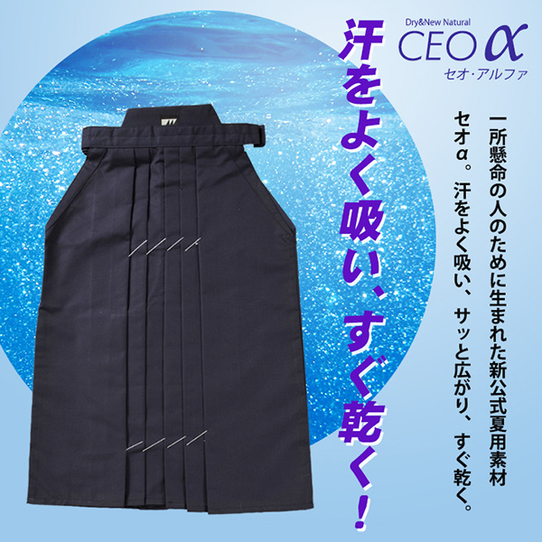セオ・アルファエステル剣道袴