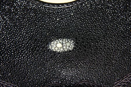 サメ胸胴（鮫胸胴） 50本型樹脂胴 特注品 | 剣道防具工房「源」