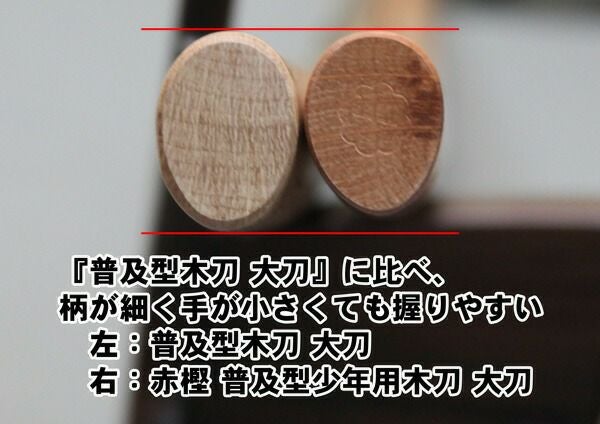 赤樫 普及型少年用木刀 大刀（101.5cm） 【木刀・剣道型用赤樫