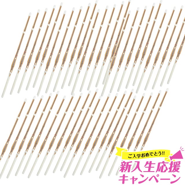中学剣道　竹刀防具入等 中学生向け】剣道スタートセット（全14点）5mmミシン刺し防具セット